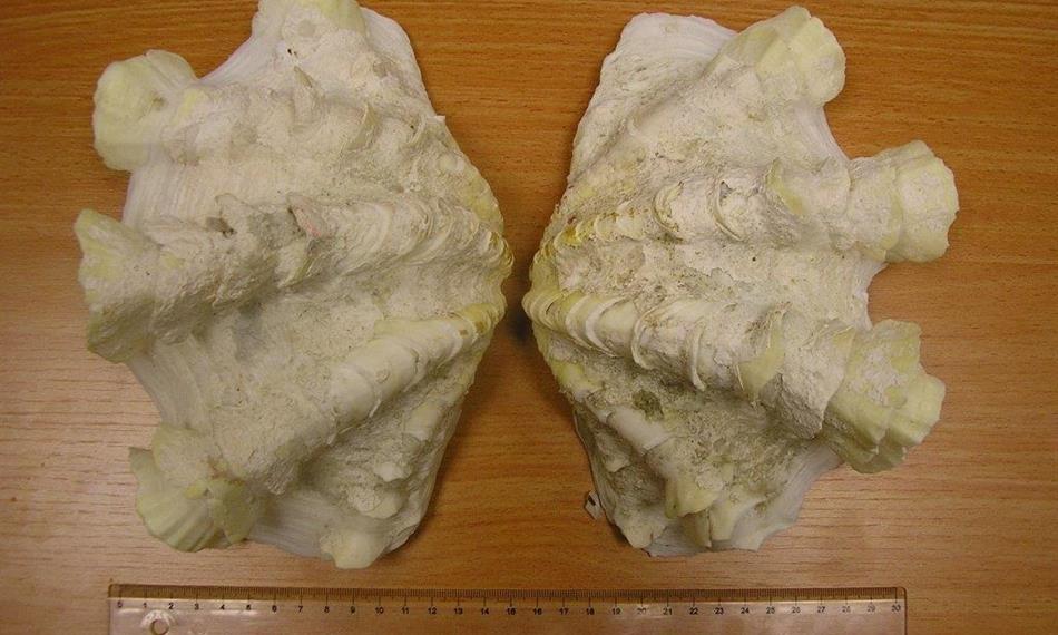 2016-6-28-817foto 2.jpg